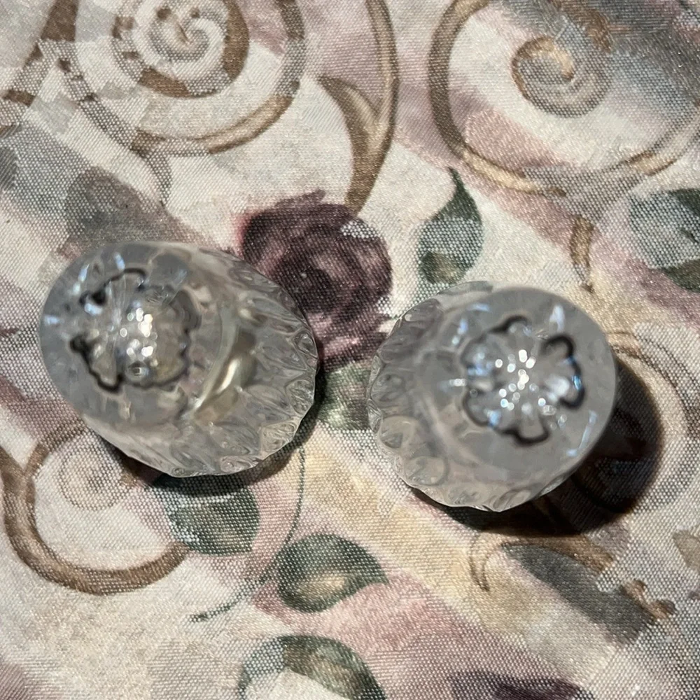 EUC Salt & Pepper shakers